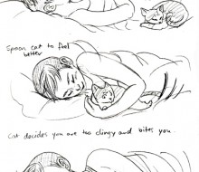 Cat Bite