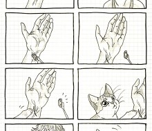 Cat Intervention