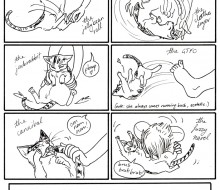 Cat Bully