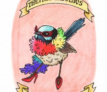 The Most Fabulous Fairy Wren