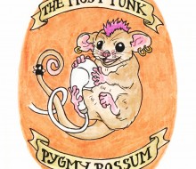 The Most Punk Pygmy Possum